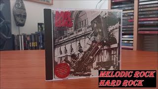 mrbig1989  Lean Into It  Cd  1991