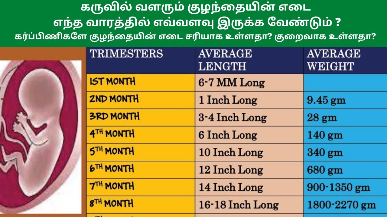 34 Weeks Baby Weight Chart In Kg