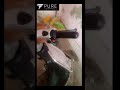 pure ev epluto7g #reels #automobile #reactionrevolution #viral #smartphone #vlog #reaction #evee
