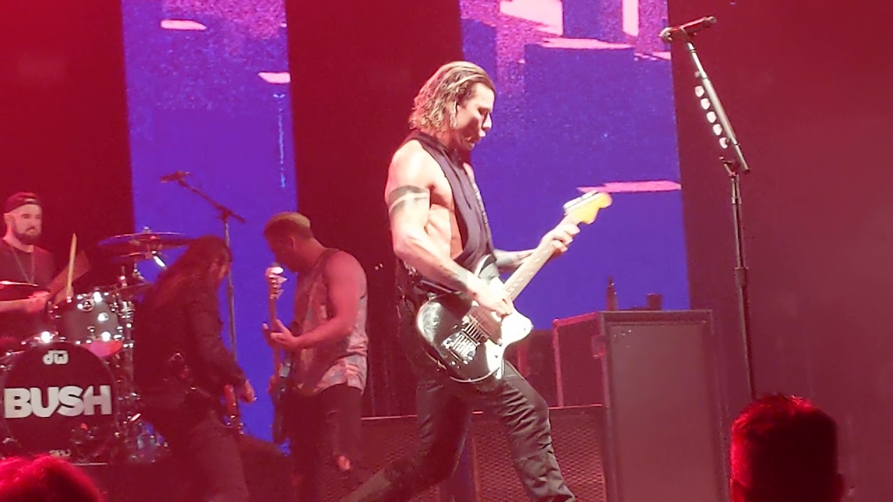 Bush - Machine Head Live Summersault 2019 Bell Centre Montreal - YouTube