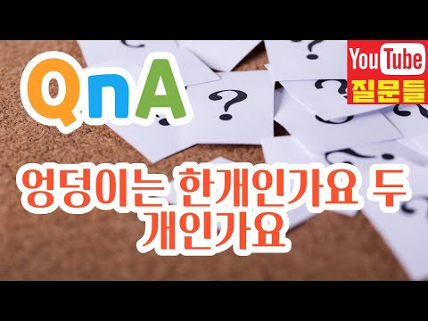 엉덩이는 한개인가요 두개인가요