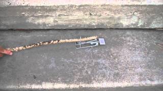 Details Gopher Trap News