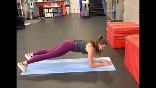 Plank Reach Under