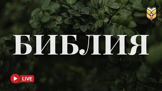 Библия онлайн 24/7 — Мир и покой в сердце 🔴 BibleVision Прямой Эфир