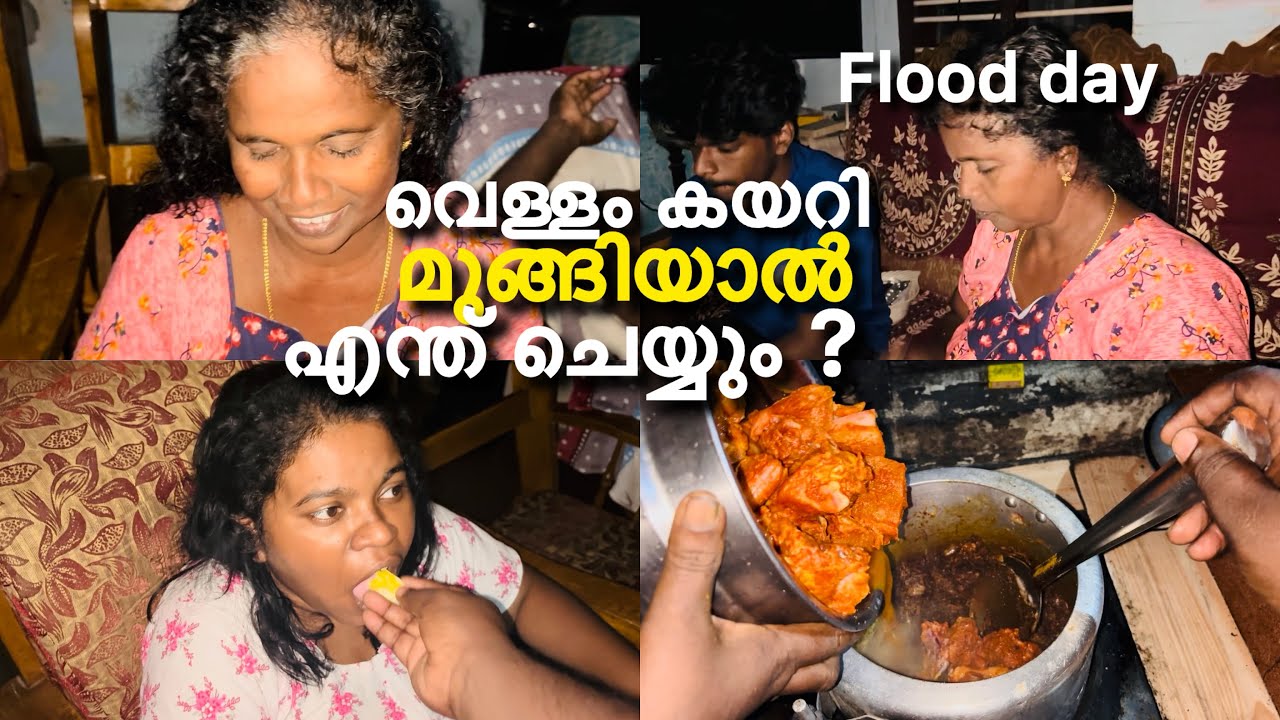 പെട്ടെന്നൊരു ദിവസം വെള്ളം കയറി.ഇതു ഞങ്ങൾക്ക് ആഘോഷ രാവ് #lijisujith #love #petshub #trending 