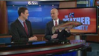 WOWT 6 News Live Weekend Daybreak