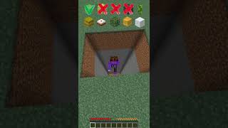 Minecraft Fall Damage vs Blocks🤯 Wealth