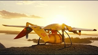 Deliver Future - DHL Parcelcopter 4.0 in Tanzania - Trailer II