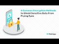 4 Top 4 Encryption Techniques to Protect Your Sensitive Data 🔒