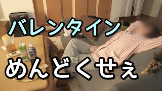 ズボラ主婦 カレーで乗り切る3日間 生理中の手抜きルーティン ダメ女の丁寧じゃない暮らし 子なしパート 丁寧じゃない暮らし もも子