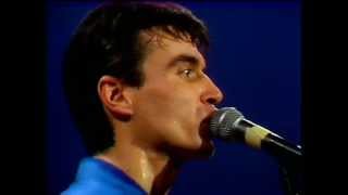 Watch Talking Heads Animals video