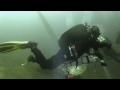 Immersione al Rapa Nui