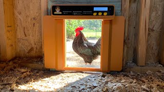 Installing the Chickozy automatic chicken coop door