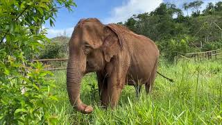 Throwback Scott Finds Rana And The Benefits Of Space