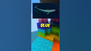 SpeedRunning 🏃‍♀️Useless Facts Part 22