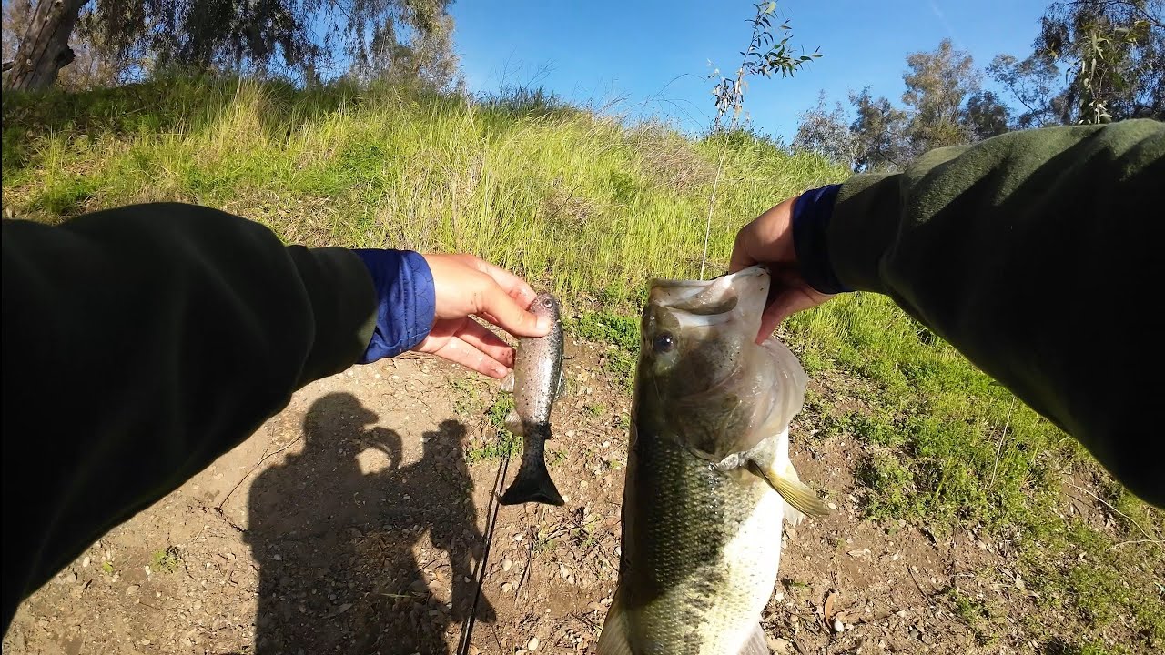 Only swimbaits