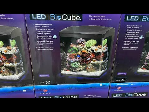 WHAT IS A BIOCUBE? | BIOCUBE 101 - YouTube