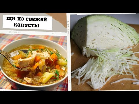 Щи из свежей капусты (классический рецепт)