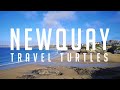 Newquay, Cornwall: Beach, Town, Aquarium, Zoo, Blue Reef Aquarium, & Mini Golf | Holywell Bay | VLOG