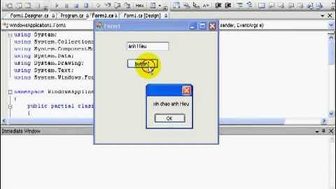 Bài 10: Cửa sổ Immediate Window