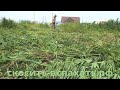 Расчистка участка Колывань/Скала. Покос травы под ноль. Новосибирск.