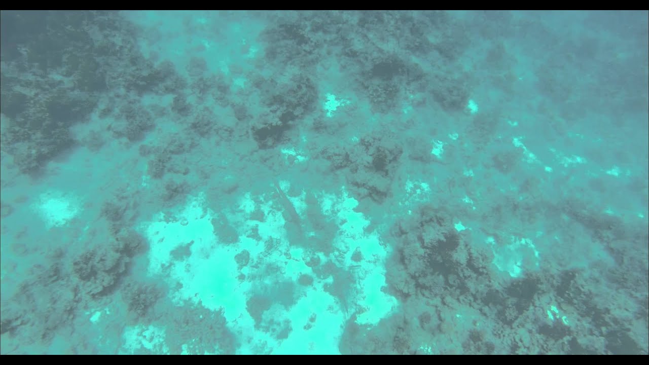 Sea Ground - Meeresboden - CC BY-NC-SA Royalty Free