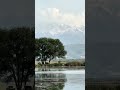 Когда поехали искать маки, а попали на лягушачий концерт 🎵 🎷🎸🐸 Казахстан. Алматинская область