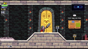 Rogue Legacy - Flash Slope Glitch (WTF!?)