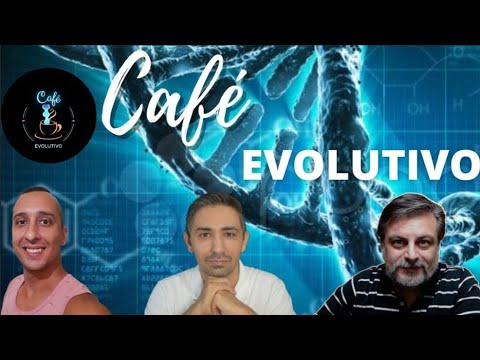Cortes evolutivos.