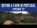 Buying a Farm in Portugal - Episode 22 - Secret farm viewing!