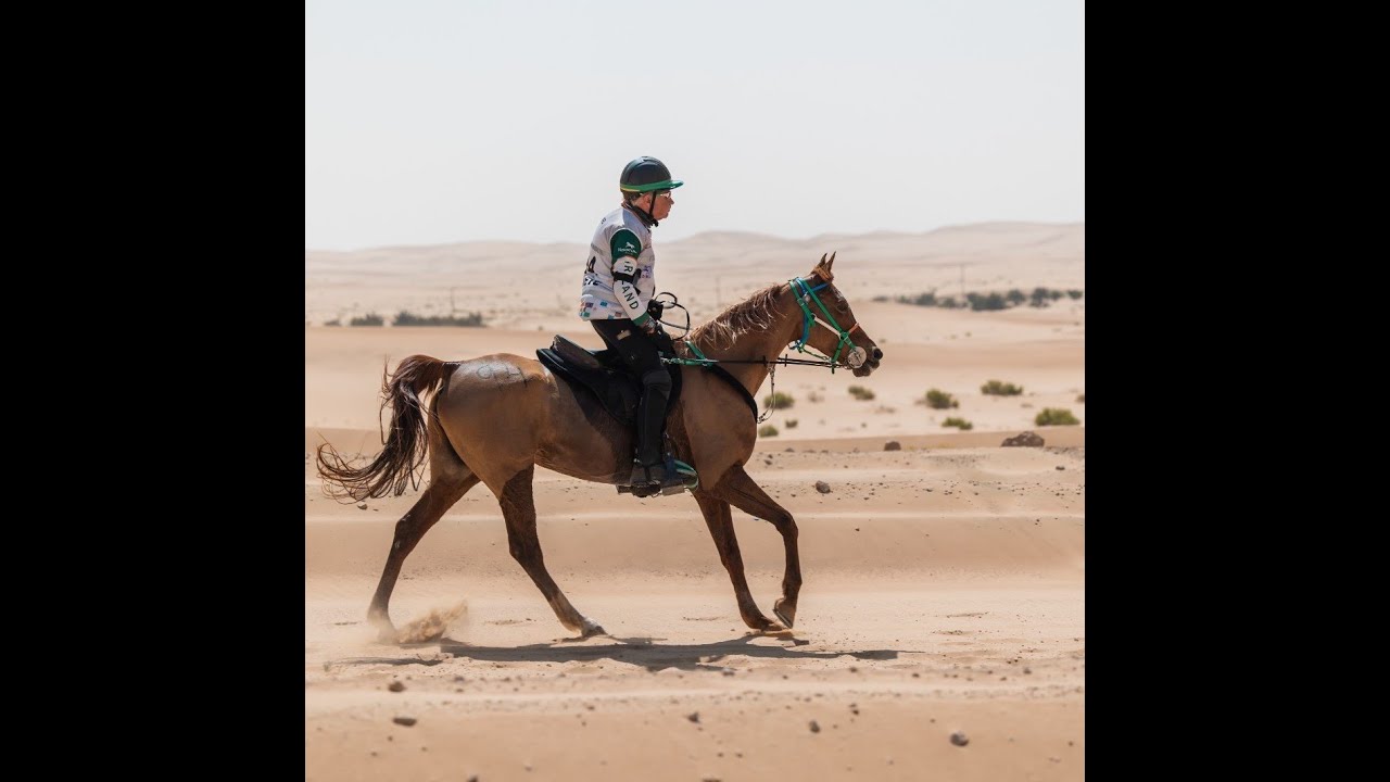 Endurance the Tom Mac Guinness story 23 Mins1440p