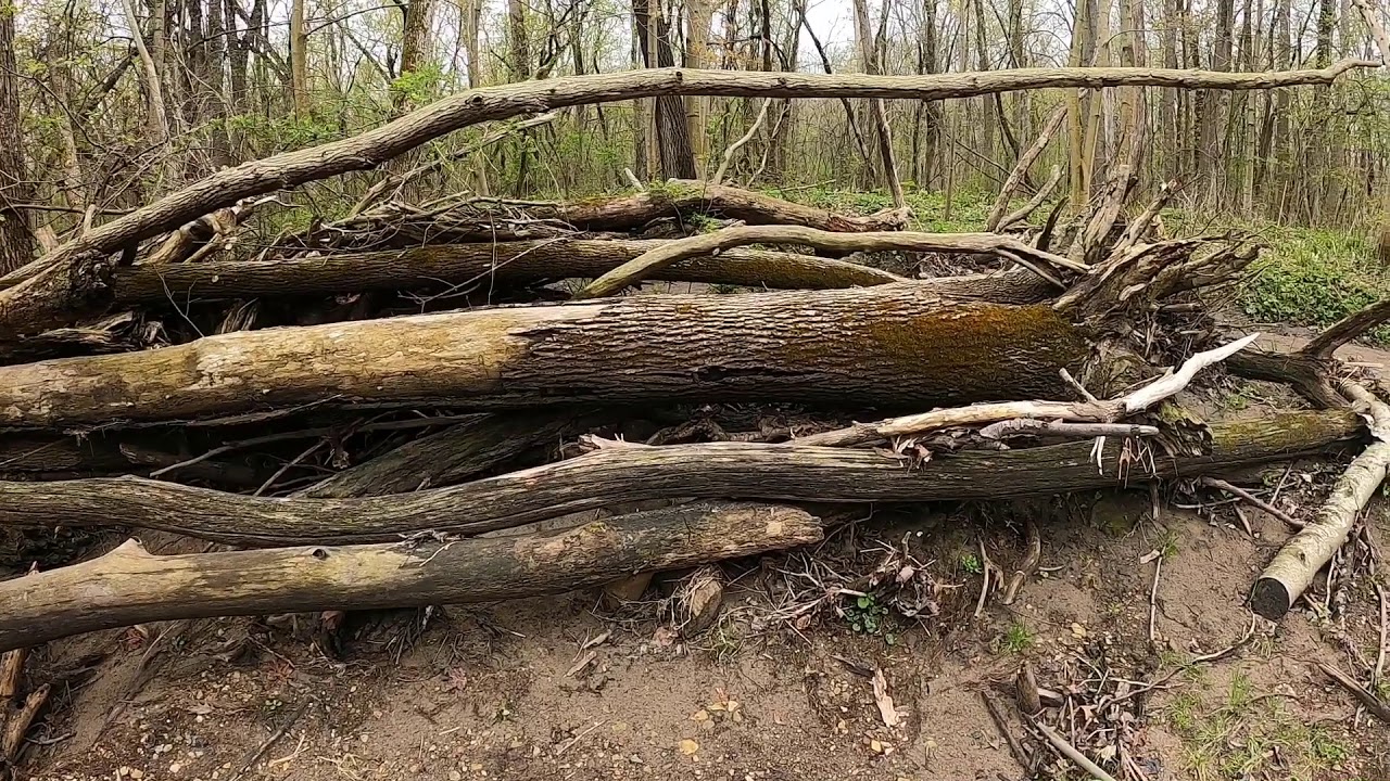 Lewis & Clark the Pike River in Kenosha Wisconsin. Just Hike It!! YouTube