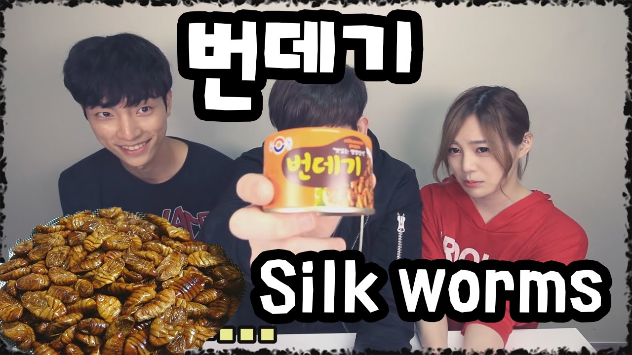 ⁣데이브 [번데기 먹어보기/먹방 WITH 한국인 호연 / 미국인 데이브 / 일본인 에리나] Foreigners trying out Korean Silk Worm Pupa