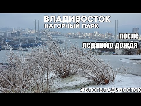 Нагорный парк после ледяного дождя Владивосток. #блогвладивосток