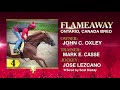 Contenders KD Flameaway