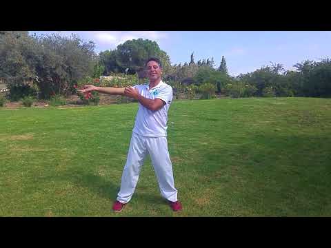 אנרגיה ספירלית לחיזוק מערכת החיסון Spiral Energy and the Imune System