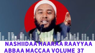 Nashiidaa Haaraa Raayyaa Abbaa Maccaa Vol 37ffaa