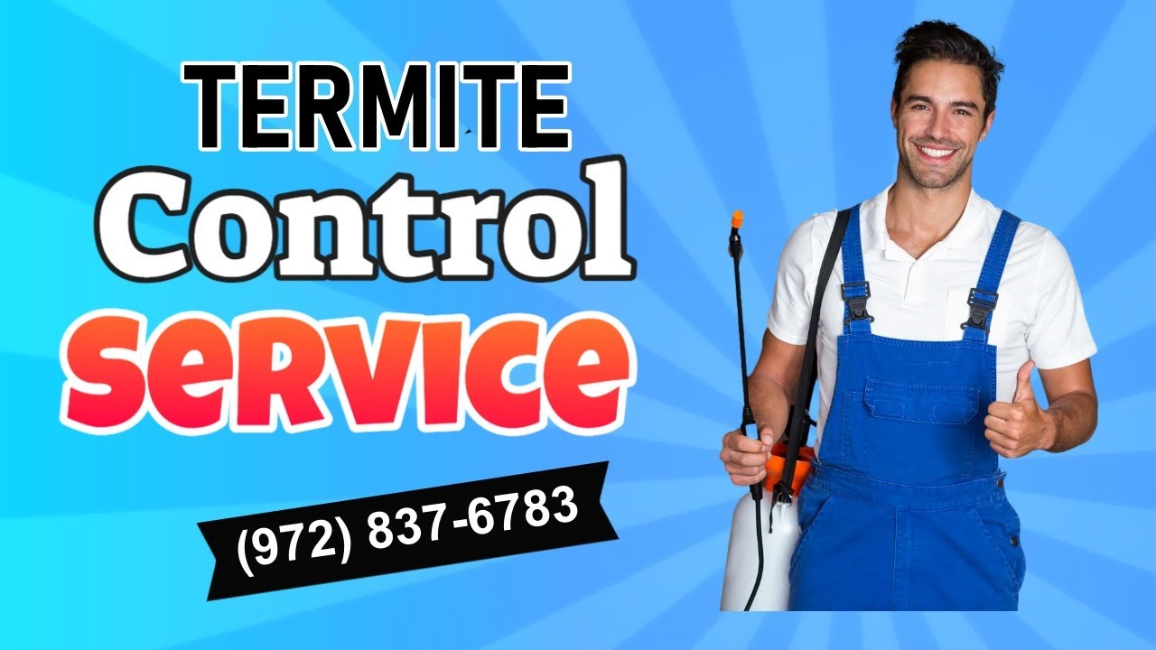 Termite Control McKinney TX - Termite Treatment Services
