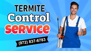 Termite Control McKinney TX - Termite Treatment Services