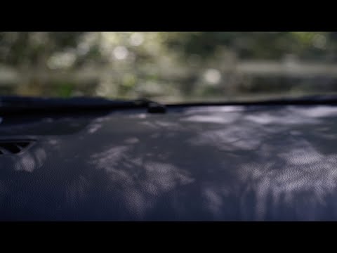 Shuta Hasunuma - unpeople (Official Video)