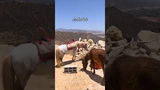 5 Activités A AGADIR morocco