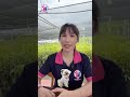🐶🐱 5 điều TUYỆT ĐỐI KHÔNG ĐƯỢC LÀM khi phát hiện bé cưng có dị vật trong mắt 👁️