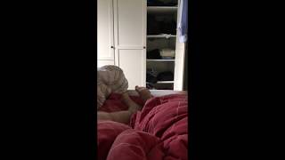 Fighting Feet