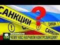 Чему нас научили контрсанкции? // Фанимани