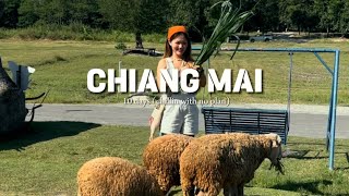 เชียงใหม่ VLOG | Chiangmai VLOG | เที่ยวแบบชิลๆไม่มีแพลน 10 วัน | Creamareeyas