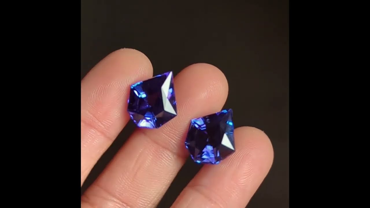 Gem Gardener: PAIR Fancy Tanzanite Gems Earrings