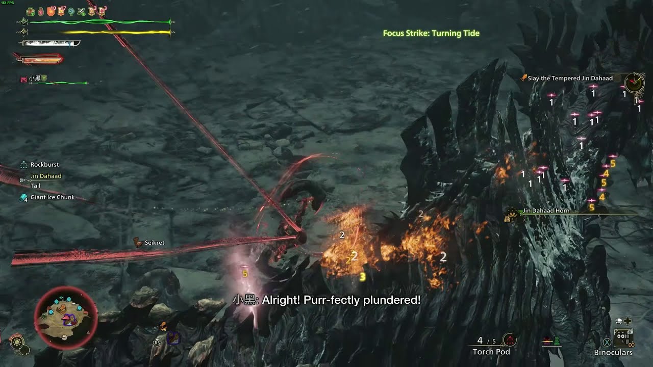 Sealed Dragon Cloth is Wild