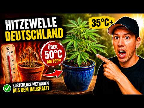 95°F outside = 122°F in the pot?! This mistake costs you yield