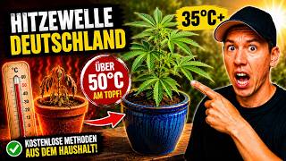 35°C draußen = 50°C im Topf?! Dieser Fehler kostet Ertrag