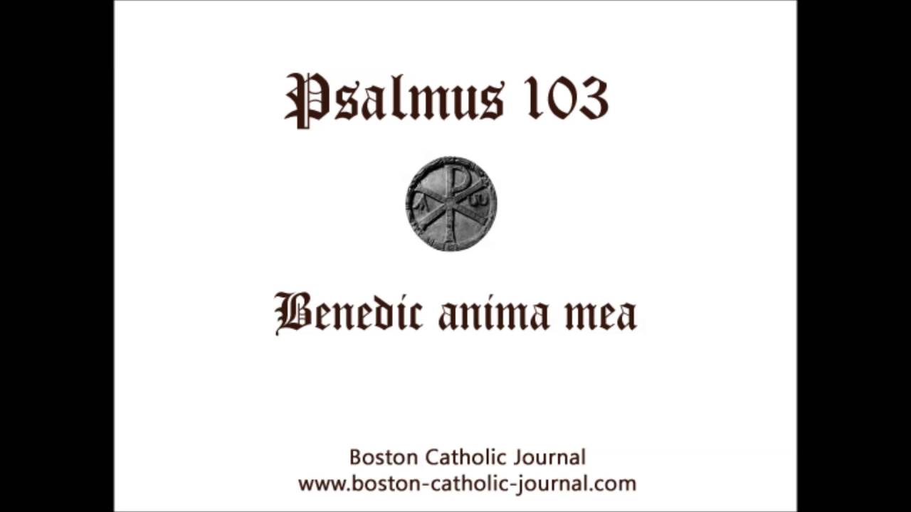 Psalm 103 In Latin YouTube psalm-103-in-latin-youtube